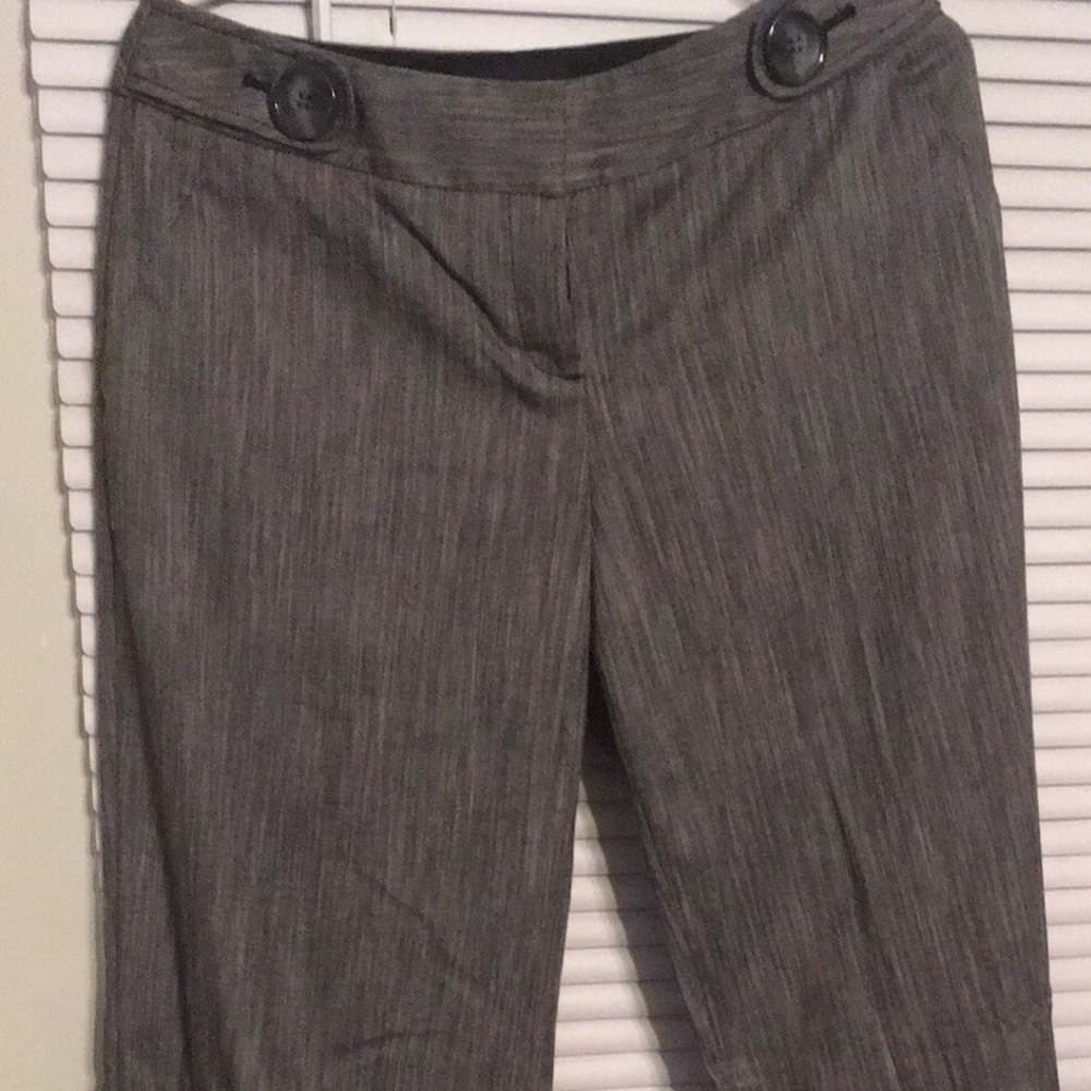 Professional dress/work pants